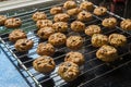 Selective focus with shallow depth of field on home made cookies Royalty Free Stock Photo