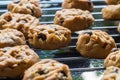 Selective focus with shallow depth of field on home made cookies Royalty Free Stock Photo