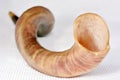 Selective focus of Shofar (horn)