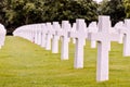 Selective focus shot of American Cemetery in Normandy Royalty Free Stock Photo