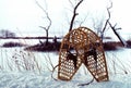 Selective focus shot of antique wooden snowshoes with tree branches in the background