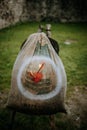 Selective focus shot of an archery target with arrows made of a sack with red color at the center Royalty Free Stock Photo