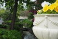 Selective focus shot of beautiful flowers in Halifax public garden on a sunny summer day Royalty Free Stock Photo