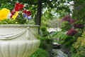 Selective focus shot of beautiful flowers in Halifax public garden on a sunny summer day Royalty Free Stock Photo