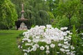 Selective focus shot of beautiful white flowers in Halifax public garden on a sunny summer day Royalty Free Stock Photo