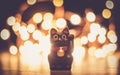 Selective focus shot of a black beckoning cat with orange bright background