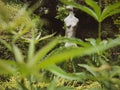 Selective focus shot of a body statue in the garden