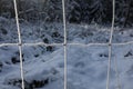 Selective focus shot of chain link fence frozen with ice crystals during winte