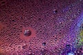 Selective focus shot of colorful reflective water drops on a digital disc surface