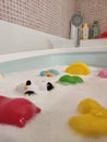 Selective focus shot of cute various rubber bath toys in the bathroom