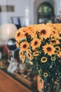 A selective focus shot of cute yellow flowers adding more beauty to the room blooming on a spring day