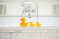 Selective focus shot of cute yellow rubber bath ducks in a row in a bathroom Royalty Free Stock Photo