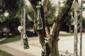 Selective focus shot of decorative glass bottles hanging from a tree Royalty Free Stock Photo