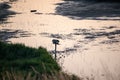 Selective focus shot of a drying water pond with a small birdhouse on the side Royalty Free Stock Photo