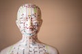 Selective focus shot of a dummy with Acupuncture points and meridians