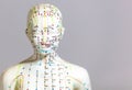 Selective focus shot of a dummy with Acupuncture points and meridians Royalty Free Stock Photo