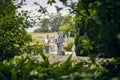 Selective focus shot of an engraving in Muckross Abbey cemetery