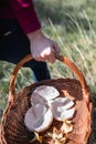 Selective focus shot of a female with a basket with mushrooms