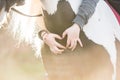 Selective focus shot of female equestrian making a heart with her hands on horse neck