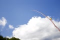 Selective focus shot of a fishing rod with the floater attached to it, blue sky in the background