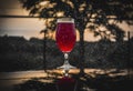 Selective focus shot of a glass of cherry sour beer on a glass table