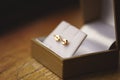 Selective focus shot of gold earrings in jewelry box on blurry background Royalty Free Stock Photo