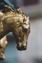 Selective focus shot of a gold horse head statue