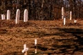 Selective focus shot of gravestones on a cemetery Royalty Free Stock Photo