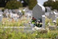 Selective focus shot of gravestones in the cemetery Royalty Free Stock Photo