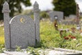 Selective focus shot of gravestones in the cemetery Royalty Free Stock Photo