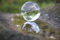 Selective focus shot of green forest in a crystal ball and its reflection on the water Royalty Free Stock Photo