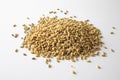 Selective focus shot of a heap of oats grains