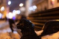 Selective focus shot of a lion's head sculpture on a bench handrail Royalty Free Stock Photo