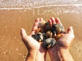 Selective focus shot of a man's open palm full of shells with a sea background Royalty Free Stock Photo