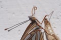 Selective focus shot of a monarch butterfly getting out of the cocoon Royalty Free Stock Photo