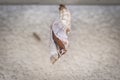 Selective focus shot of a monarch butterfly getting out of the cocoon Royalty Free Stock Photo