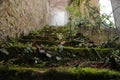 Selective focus shot of mossy stairway to an old castle Royalty Free Stock Photo