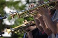 Selective focus shot of musicians playing on trumpets Royalty Free Stock Photo