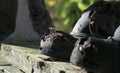 Selective focus shot of old torn boots from black leather Royalty Free Stock Photo