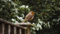 Selective focus shot of an orange robin perched on a wooden fence