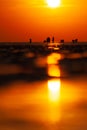 Selective focus shot of People on the mudflap beach in the sunset off Buesum. Royalty Free Stock Photo