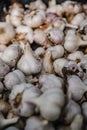 Selective focus shot of a pile of garlic stacked on top of each other Royalty Free Stock Photo