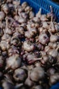 Selective focus shot of a pile of garlic stacked on top of each other Royalty Free Stock Photo