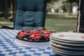 Selective focus shot of plan a delicious cake with berries on a checkered textile Royalty Free Stock Photo