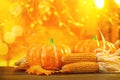 Selective focus shot of pumpkins, corns and autumn leaves - Thanksgiving concept