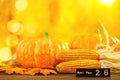 Selective focus shot of pumpkins, corns and autumn leaves - Thanksgiving concept