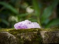 Selective focus shot of a purple amethyst crystal mineral on a mossy rock surface Royalty Free Stock Photo