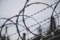 Selective focus shot of a rolled razor barbed wire with a blurred background Royalty Free Stock Photo