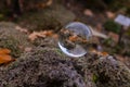 Selective focus shot of a round transparent ball reflecting leaves and trees in the forest Royalty Free Stock Photo