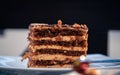 Selective focus shot of a slice of a delicious chocolate cake Royalty Free Stock Photo